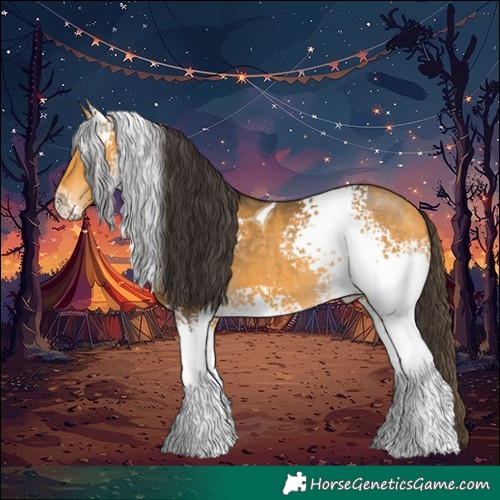 Horse Color:White Spotted Buckskin Tobiano Rabicano 