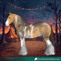 Horse Color:White Spotted Buckskin Tobiano Rabicano 