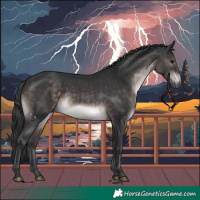 Horse Color:Platinum Brown 