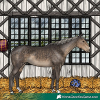 Horse Color:Silver Smoky Black 