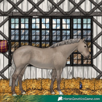 Horse Color:Silver Grullo