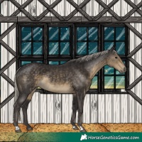 Horse Color:Silver Smoky Black 