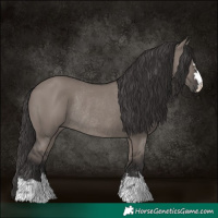 Horse Color:Smoky Grullo Rabicano