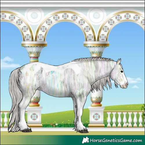 Horse Color:Silver Black Ice Sabino Tobiano Blanket