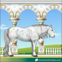 Horse Color:Silver Black Ice Sabino Tobiano Blanket 