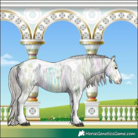 Horse Color:Silver Black Ice Sabino Tobiano Appaloosa 