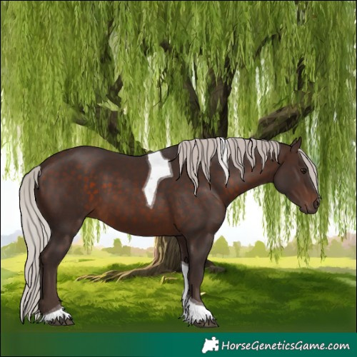 Horse Color:Silver Brown Tobiano