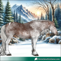 Horse Color:White Spotted Silver Brown Tobiano 
