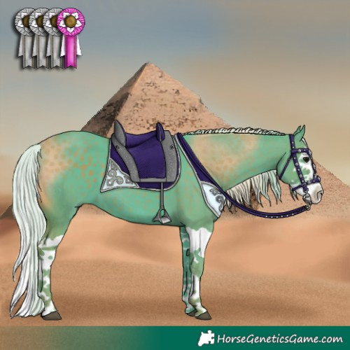 Horse Color:Watercolor Silver Black Splash 