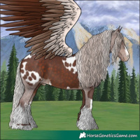 Horse Color:Chocolate Silver Brown and White Spotted Chocolate Silver Brown Appaloosa