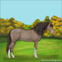 Horse Color:Classic Champagne Tobiano 