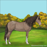 Horse Color:Classic Champagne Tobiano