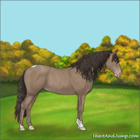 Horse Color:Classic Champagne Tobiano 