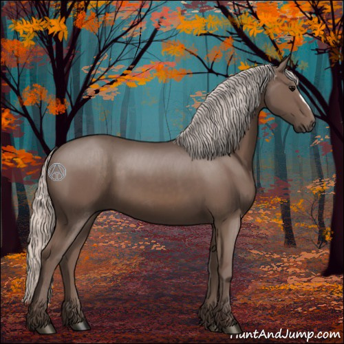 Horse Color:Silver Black 