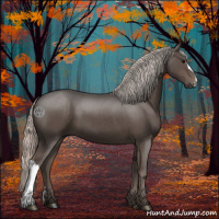 Horse Color:Silver Black 