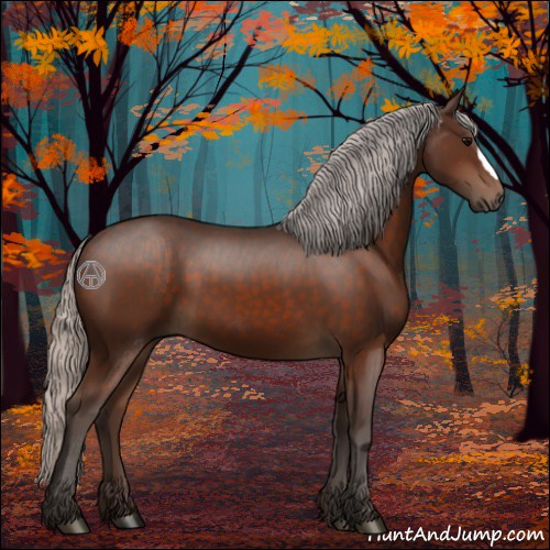 Horse Color:Silver Brown 