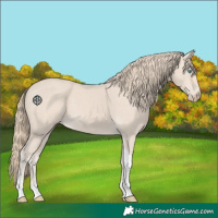 Horse Color:Smoky Creme Tobiano 