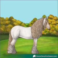 Horse Color:Perlino Roan 
