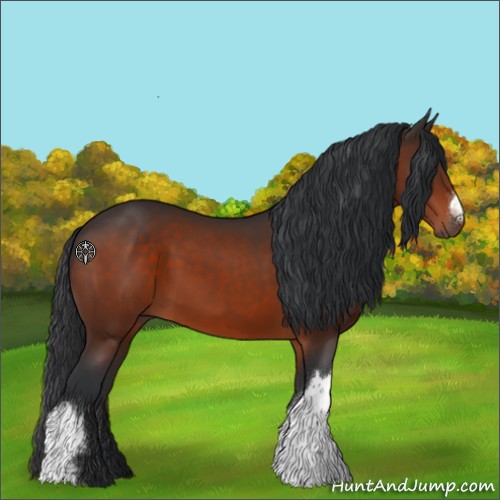 Horse Color:Brown 