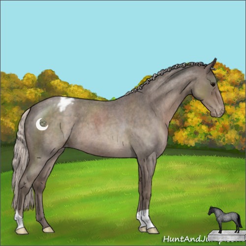 Horse Color:Silver Blue Roan Varnish