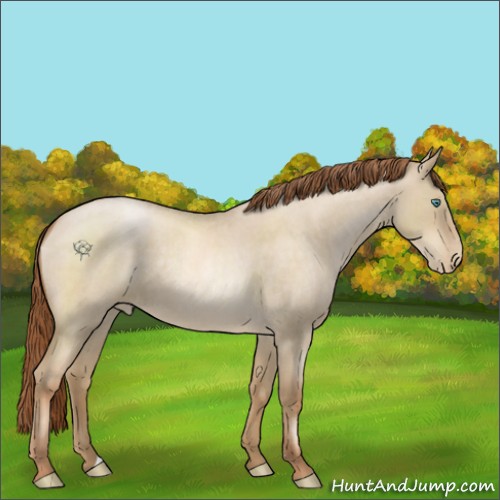 Horse Color:Smoky Grullo Roan Pearl 