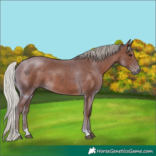 Horse Color:Silver Black 