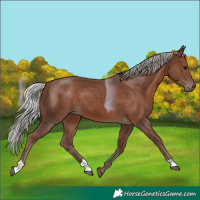 Horse Color:Silver Black 