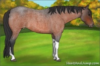 Horse Color:Bay Roan Tobiano Varnish 