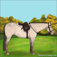 Horse Color:Amber Champagne Dun 