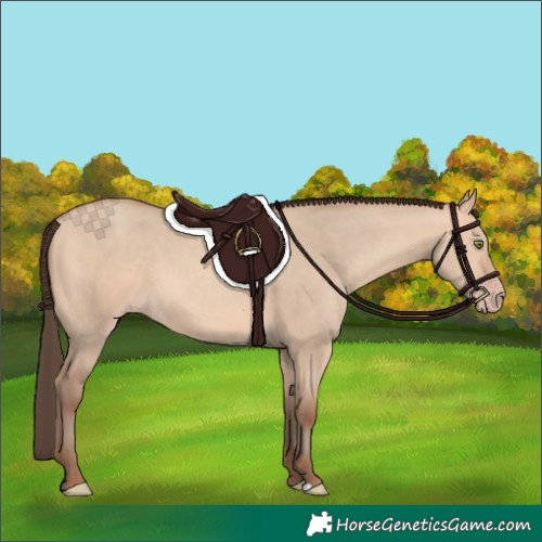Horse Color:Amber Champagne Dun 