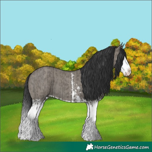 Horse Color:Grullo Sabino Splash  and Grullo Sabino Splash 