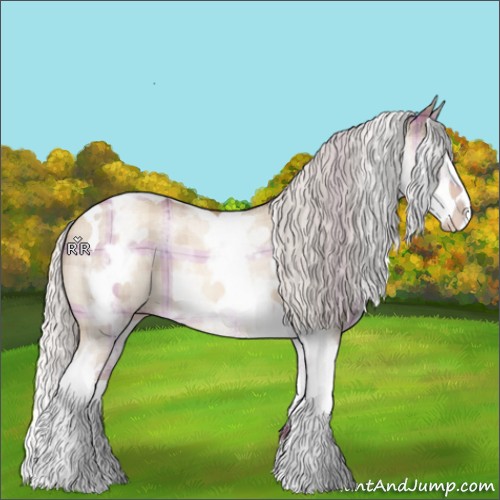 Horse Color:Plaid  White Spotted Silver Sable Champagne Dun Splash Tobiano 