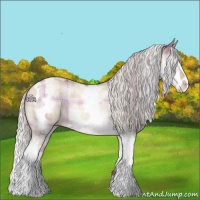 Horse Color:Plaid  White Spotted Silver Sable Champagne Dun Splash Tobiano 
