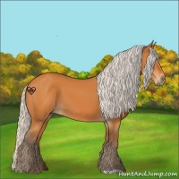 Horse Color:Silver Buckskin 