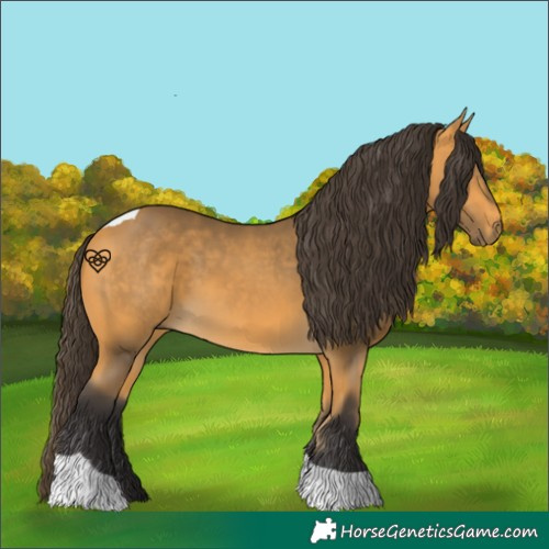 Horse Color:Buckskin Tobiano