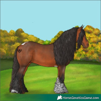 Horse Color:Bay Tobiano 