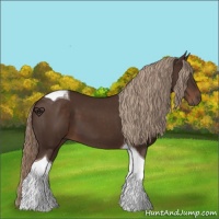 Horse Color:Liver Chestnut Tobiano 