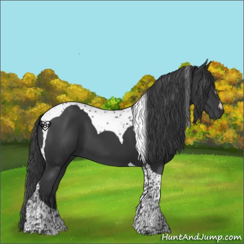 Horse Color:Black Tobiano 