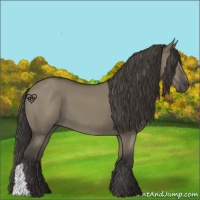 Horse Color:Smoky Grullo 