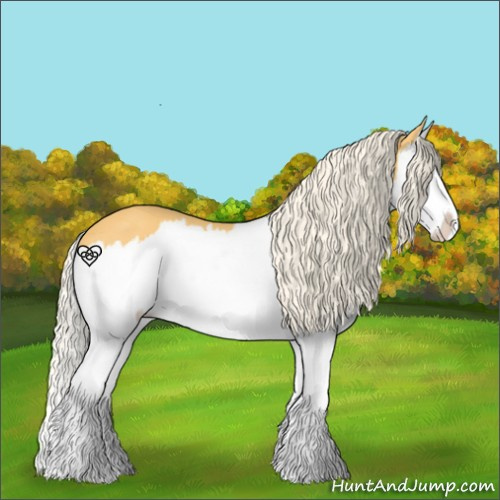 Horse Color:Gold Cream Champagne Sabino Splash