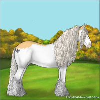 Horse Color:Gold Cream Champagne Sabino Splash 