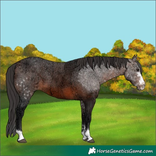 Horse Color:Brown Ice 