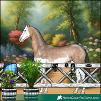 Horse Color:Bay Dun Sabino Splash Rabicano