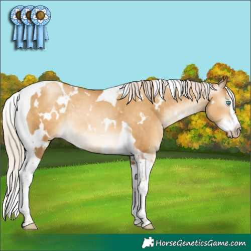 Horse Color:Gray White Spotted Silver Sable Cream Champagne Pearl Splash Tobiano Rabicano 