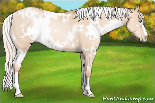 Horse Color:White Spotted Silver Sable Champagne Pearl 