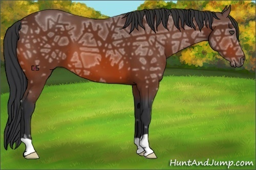 Horse Color:Bay Ice 