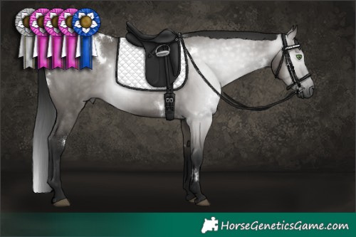 Horse Color:Gray White Spotted Grullo Rabicano 