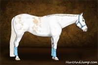 Horse Color:Chestnut Pearl Sabino Splash
