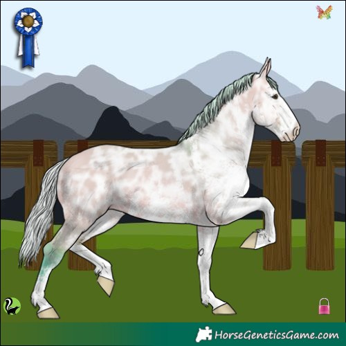 Horse Color:Watercolor White Spotted Silver Bay Ice Dun Rabicano 