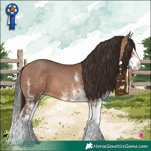 Horse Color:White Spotted Sable Champagne Splash 